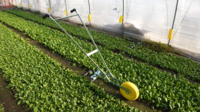 Single Wheel Hoe - Imagen 5