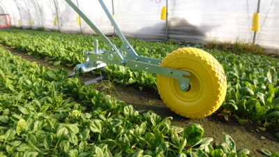 Single Wheel Hoe - Imagen 7