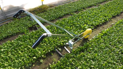 Single Wheel Hoe - Imagen 10