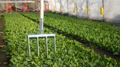 Minifork - Imagen 2