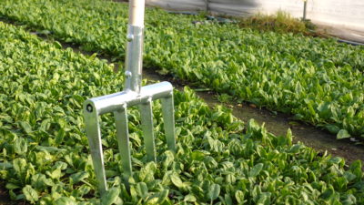 Minifork - Imagen 3